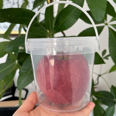 Personaliza bañeras transparentes con mango de plástico y cubre el cubo de plástico